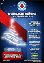 Weihnachtsbäume auf Spendenbasis
